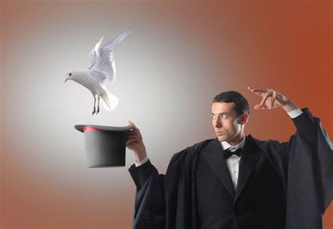 The Secrets Behind the Smoke and Mirrors: How T Magicians Create Illusions